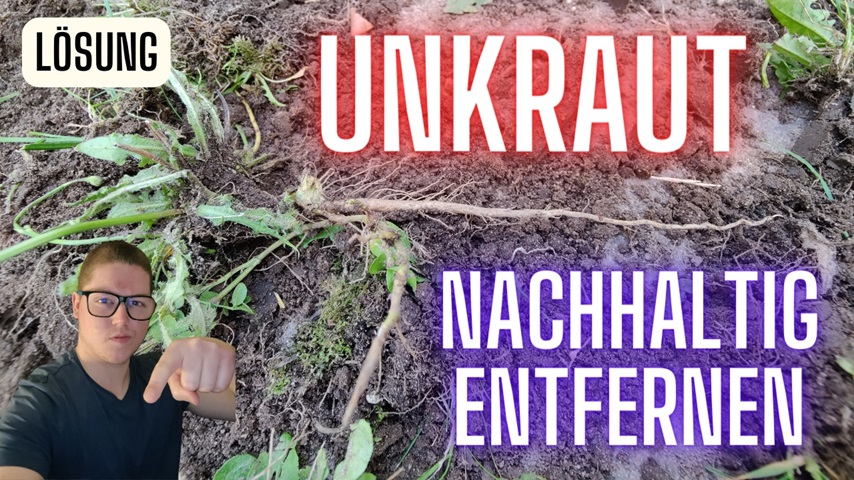 Unkraut nachhaltig entfernen - YouTube Video Thumbnail